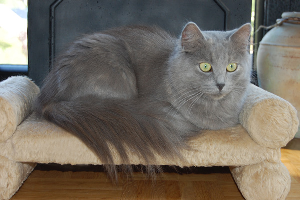 mal eigene Kinder.jpg